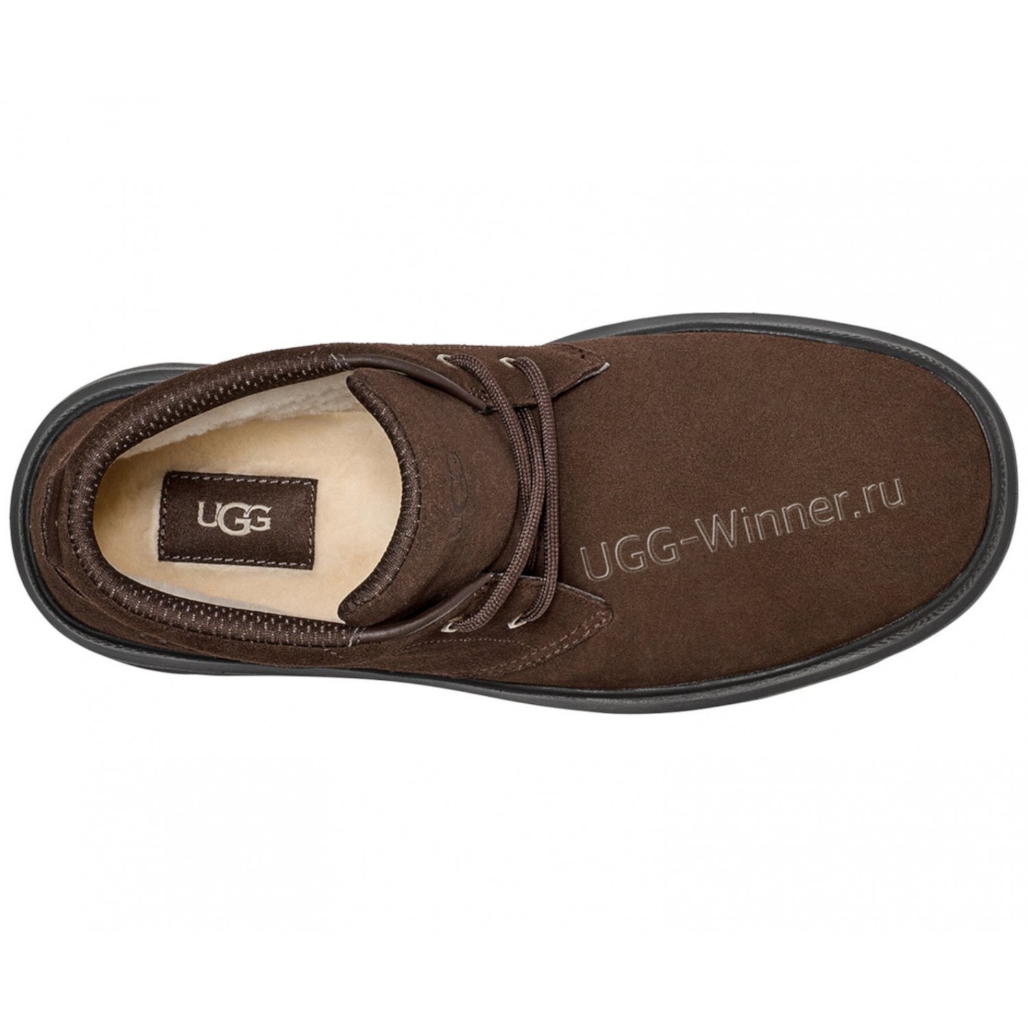UGG Burleigh Chukka - Chocolate