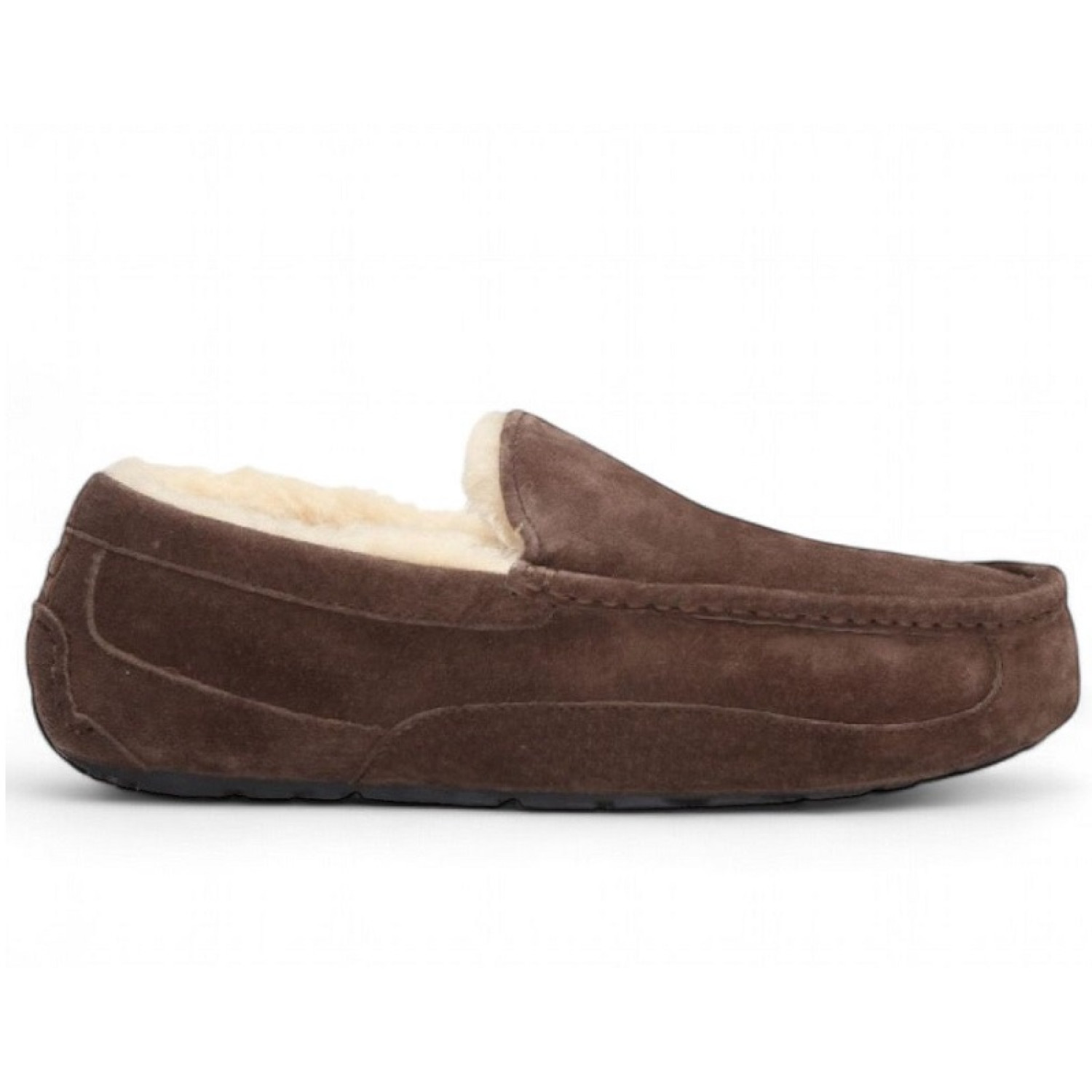 UGG Mens Ascot - Chocolate