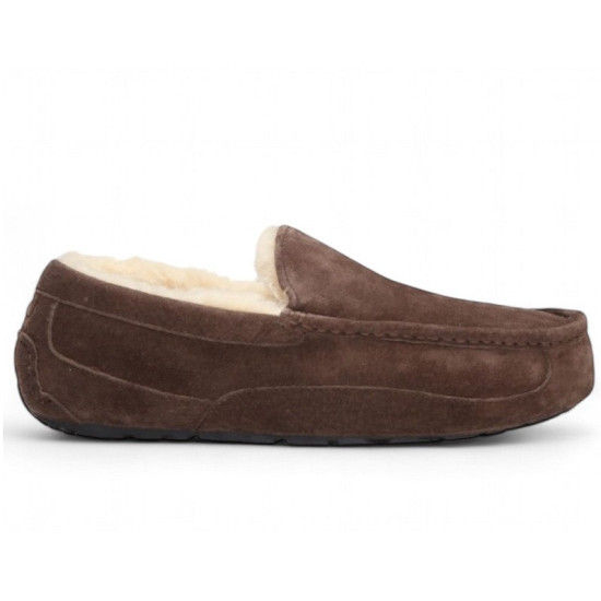 UGG Mens Ascot - Chocolate