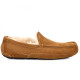 UGG Mens  Ascot - Chestnut