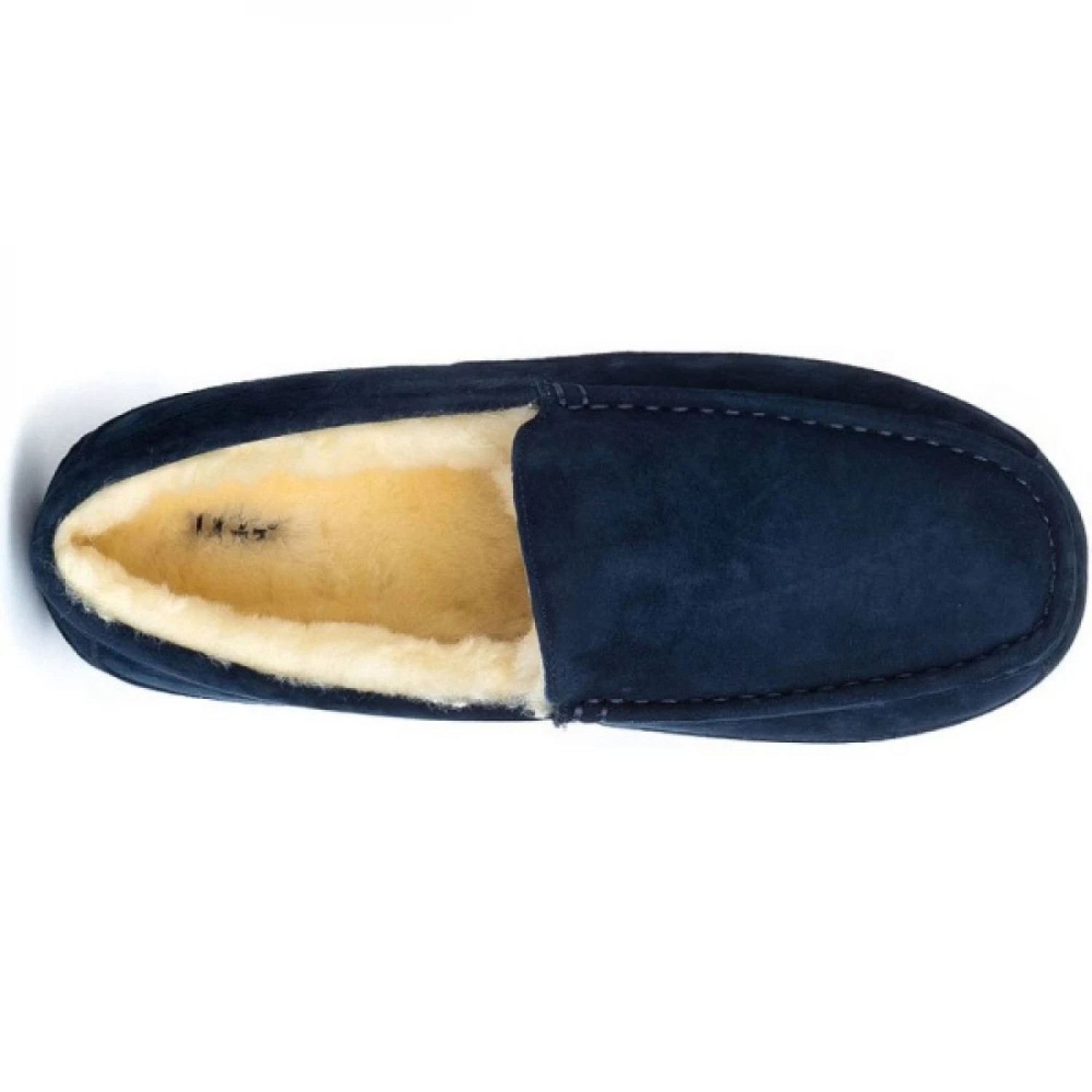 UGG Mens Ascot - Navy