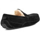 UGG Mens Ascot - Black